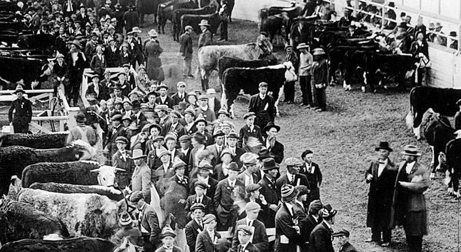 Tarrant County Fair and Fat Stock Show 1916