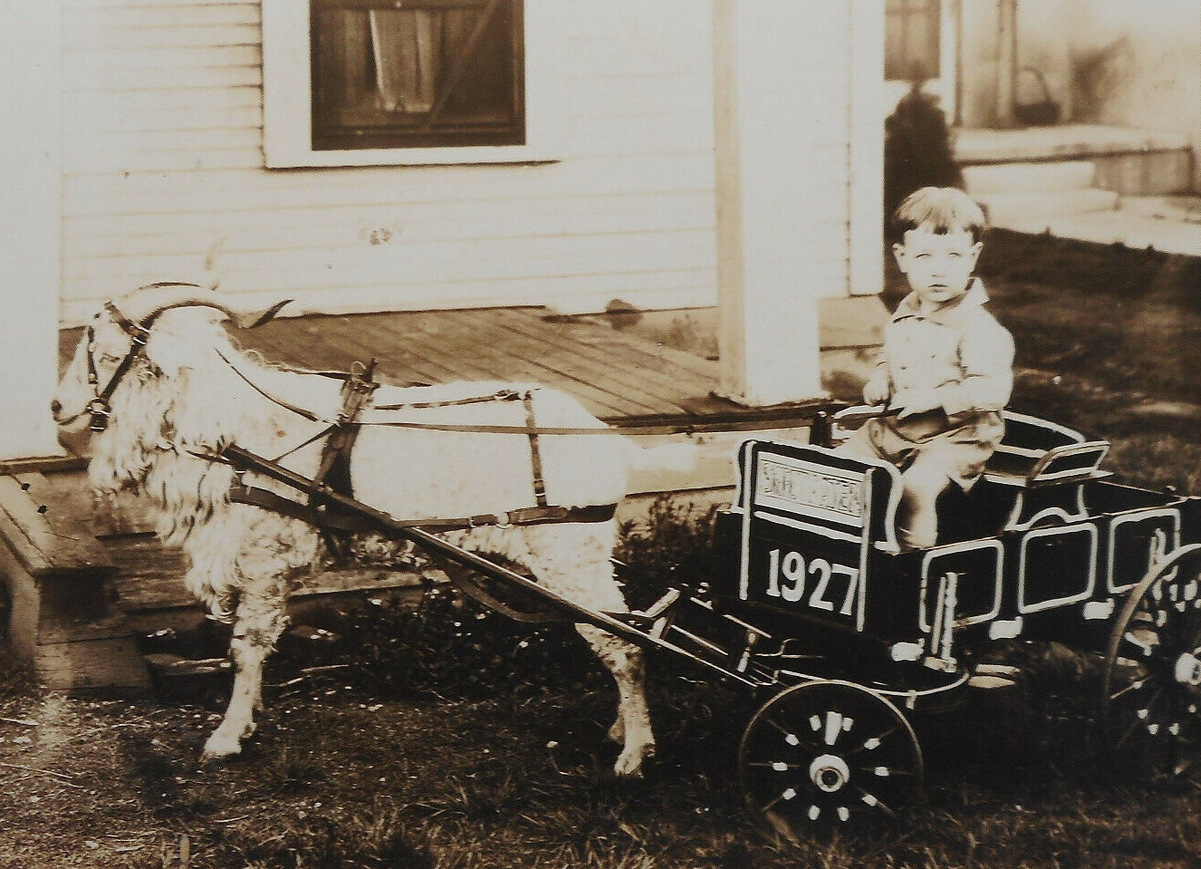1927 Sweetwater Boy in a Goat Cart