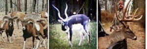 Alabama Hunting