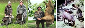 Alabama Hunting (B)