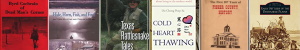 Books about Roby, Rotan, Longworth, McCauley, Pleasant Valley and Sylvester Texas