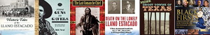 Books  about people from and places in Brownfield, Wellman, Meadow, Needmore and Tokio Texas.