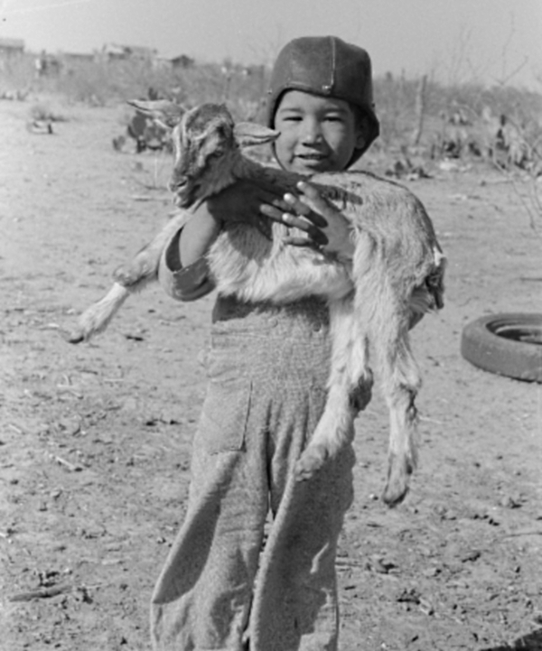 Boy with Baby Goat