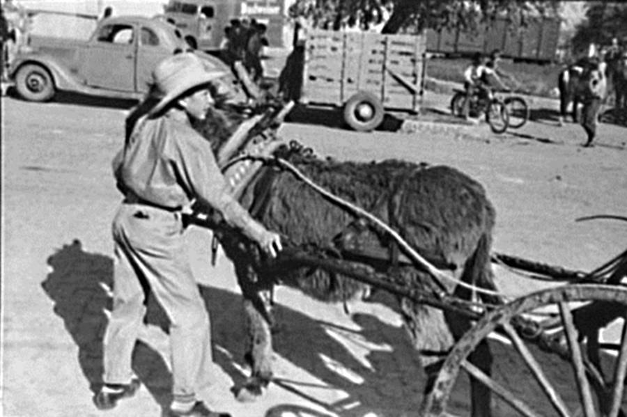 Boy with Donkey Cart in San Angelo Parade 1940