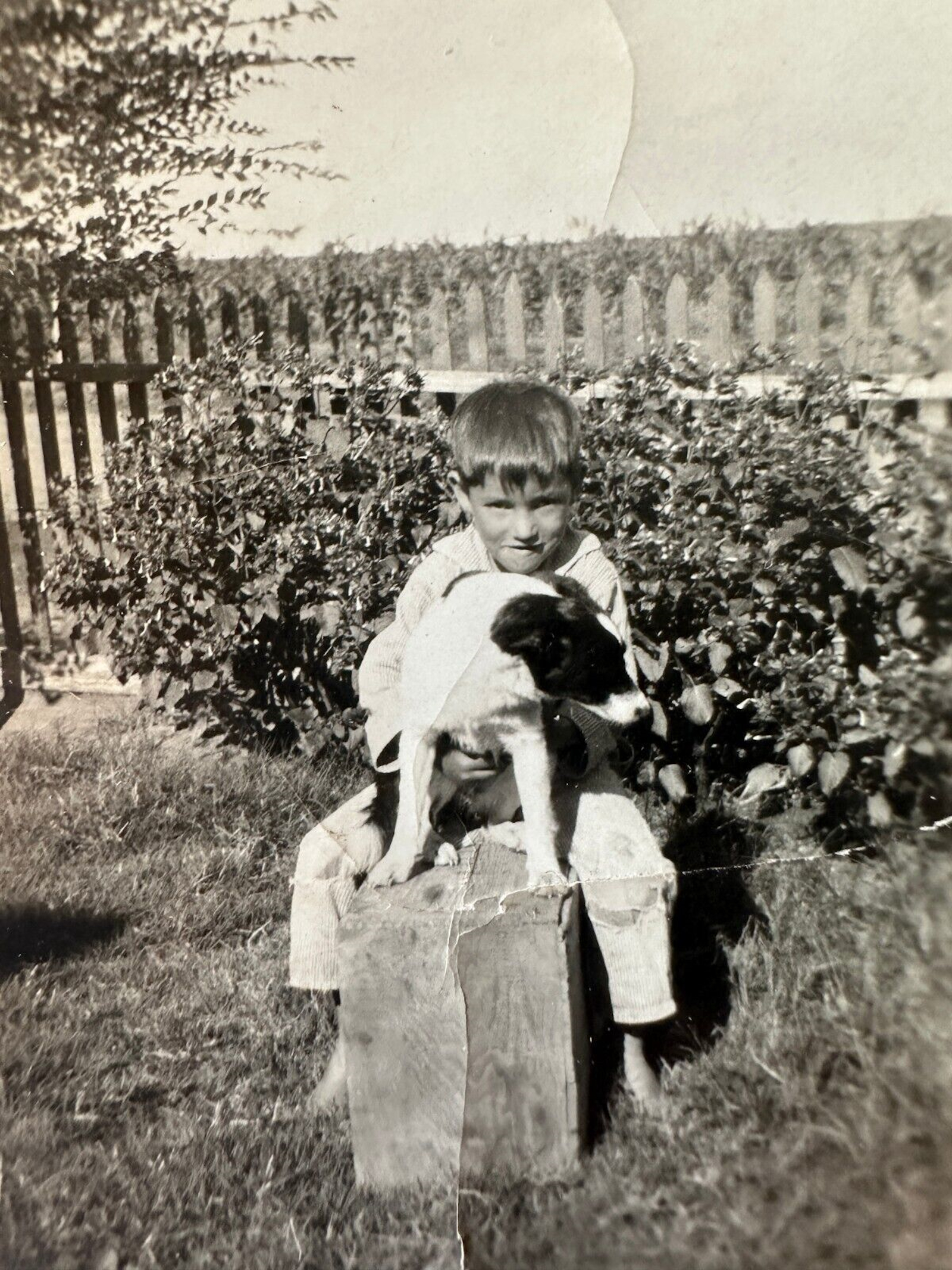 Boy with Puppy in Lubbock in 1932
