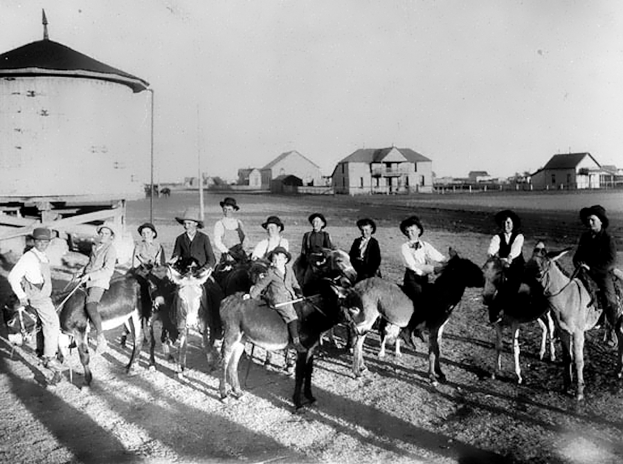 Boys on Donkeys in Amarillo Texas