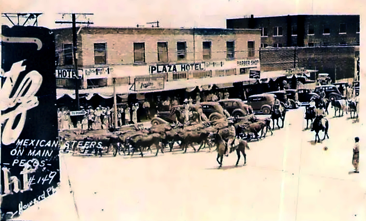 Cattle on Main Street in Pecos in 1944