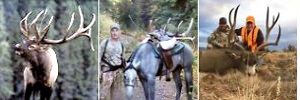 Colorado Hunting 