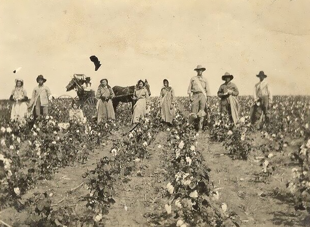 Cotton Pickers from Odessa Texas in 1910