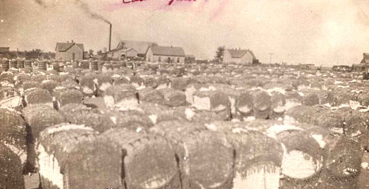 Cotton Yard in Knox City