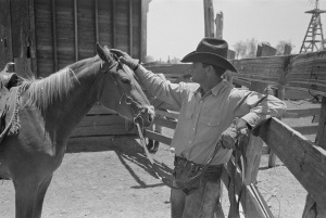 Cowboy Petting His Horse In 1939