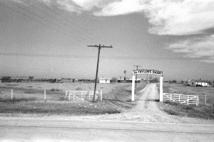 Dr Taylor's Dairy Schleicher County Tx 1939
