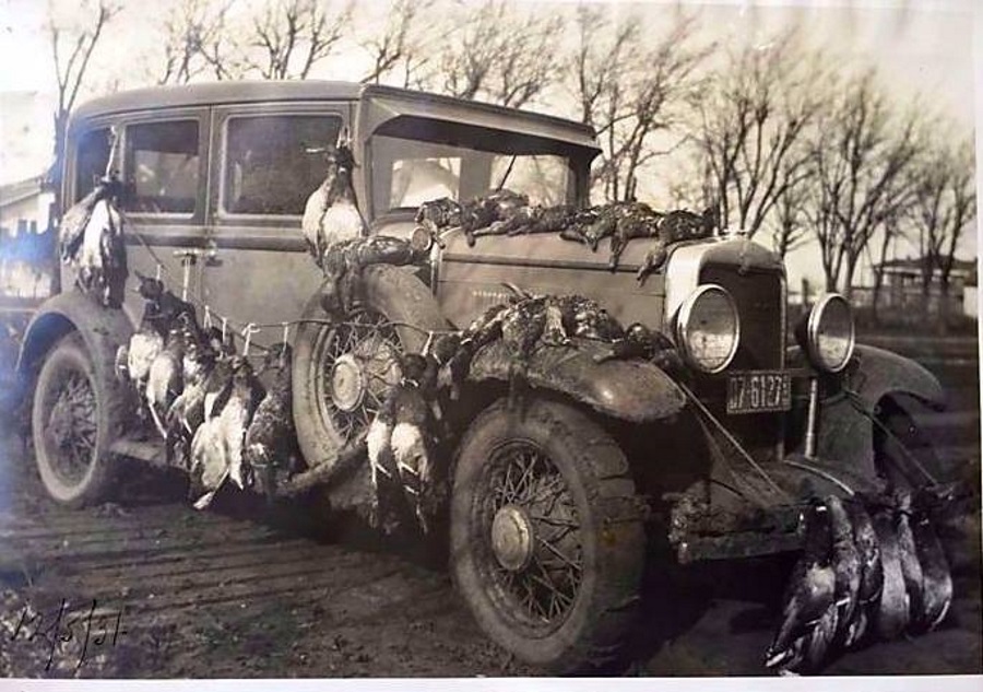 Duck Hunt Plainview Texas in December 1931