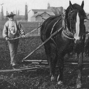 Farm Scene in Armstrong County Texas 1909