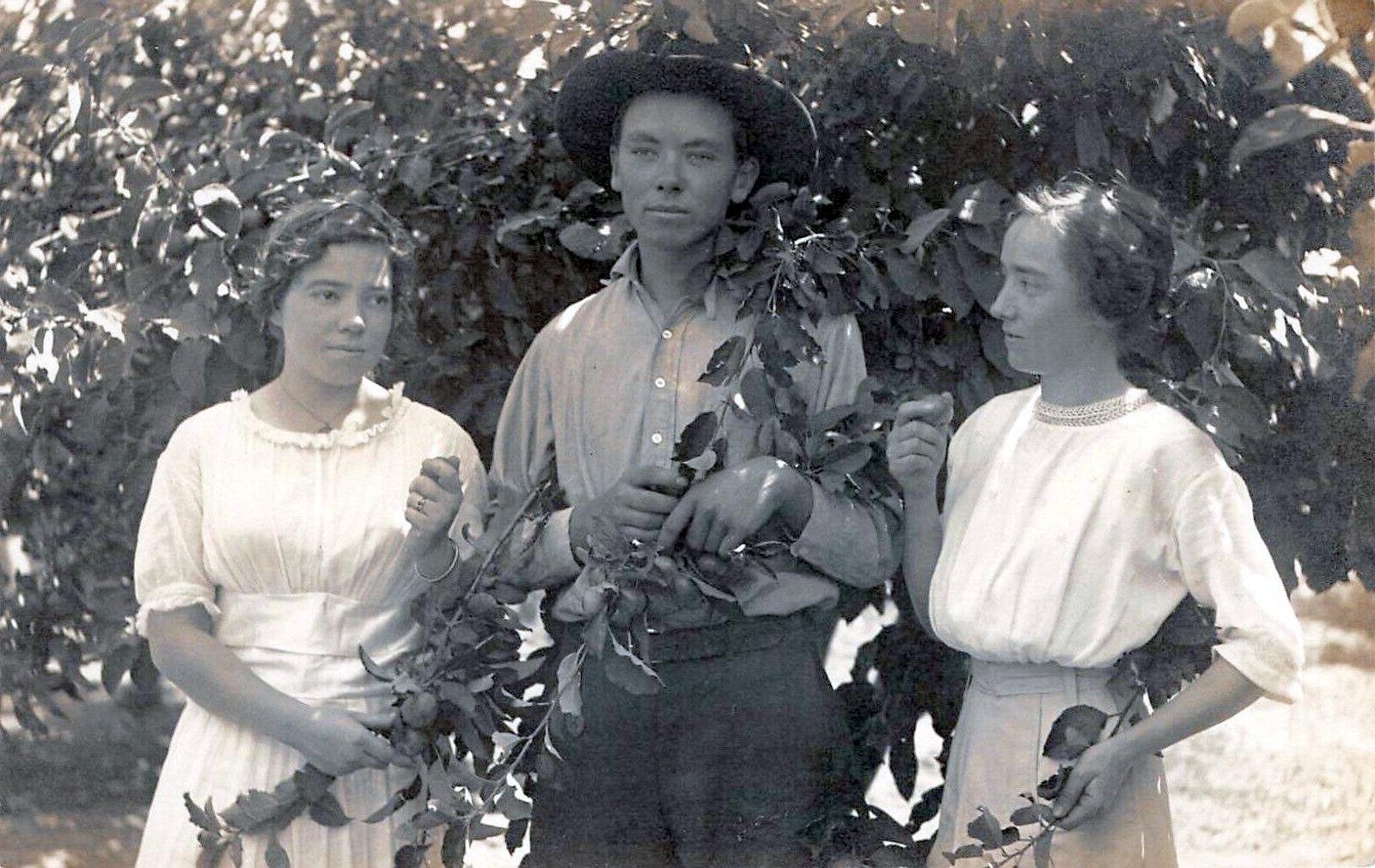 Fruit Orchard Near Tahoka