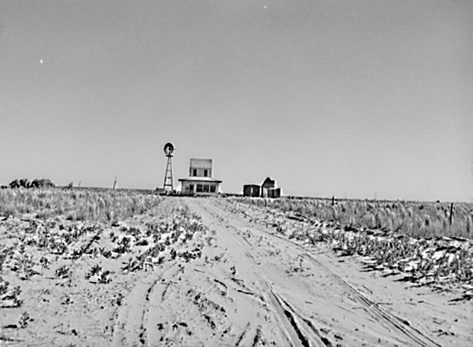 Gaines County Farmstead in 1942