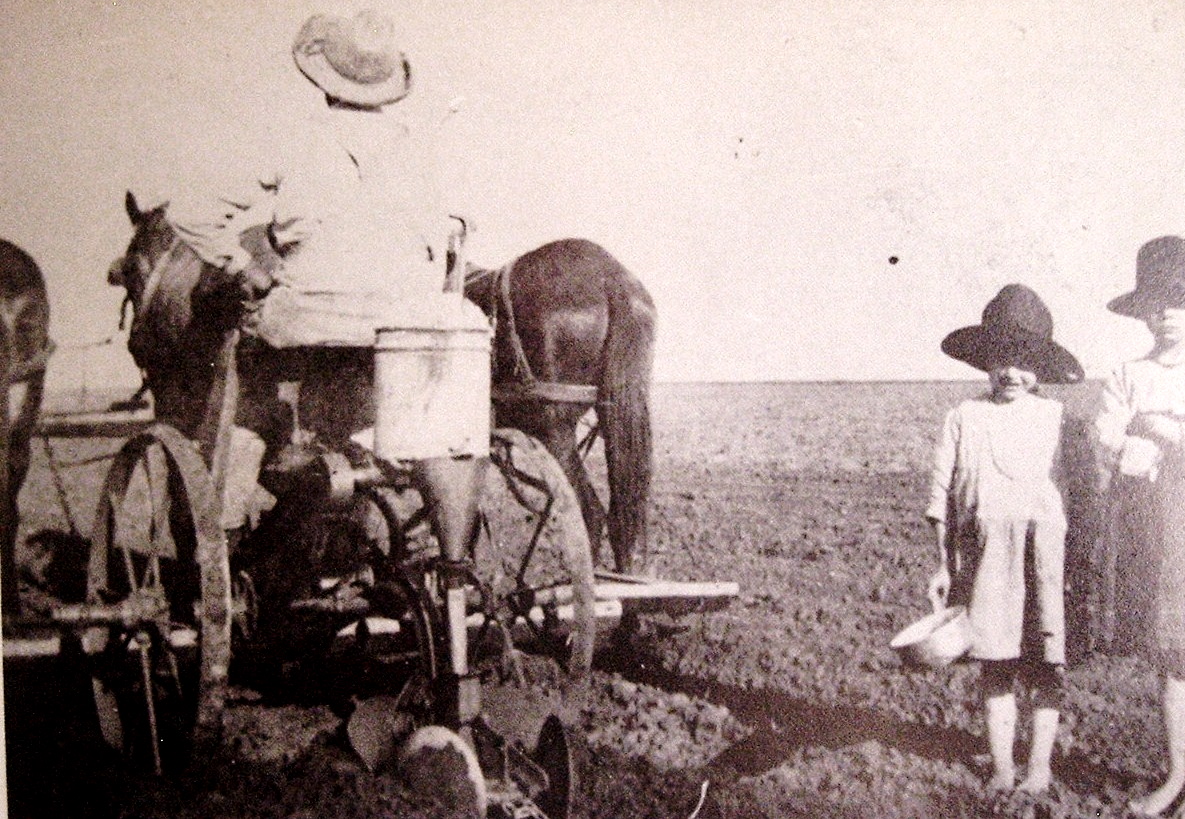 Horse Drawn Planter Near Gasoline Texas in 1920s