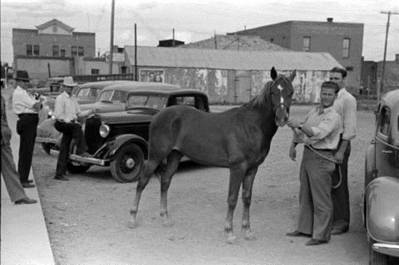 Horse Trader Shows Horse in Alpine in 1939