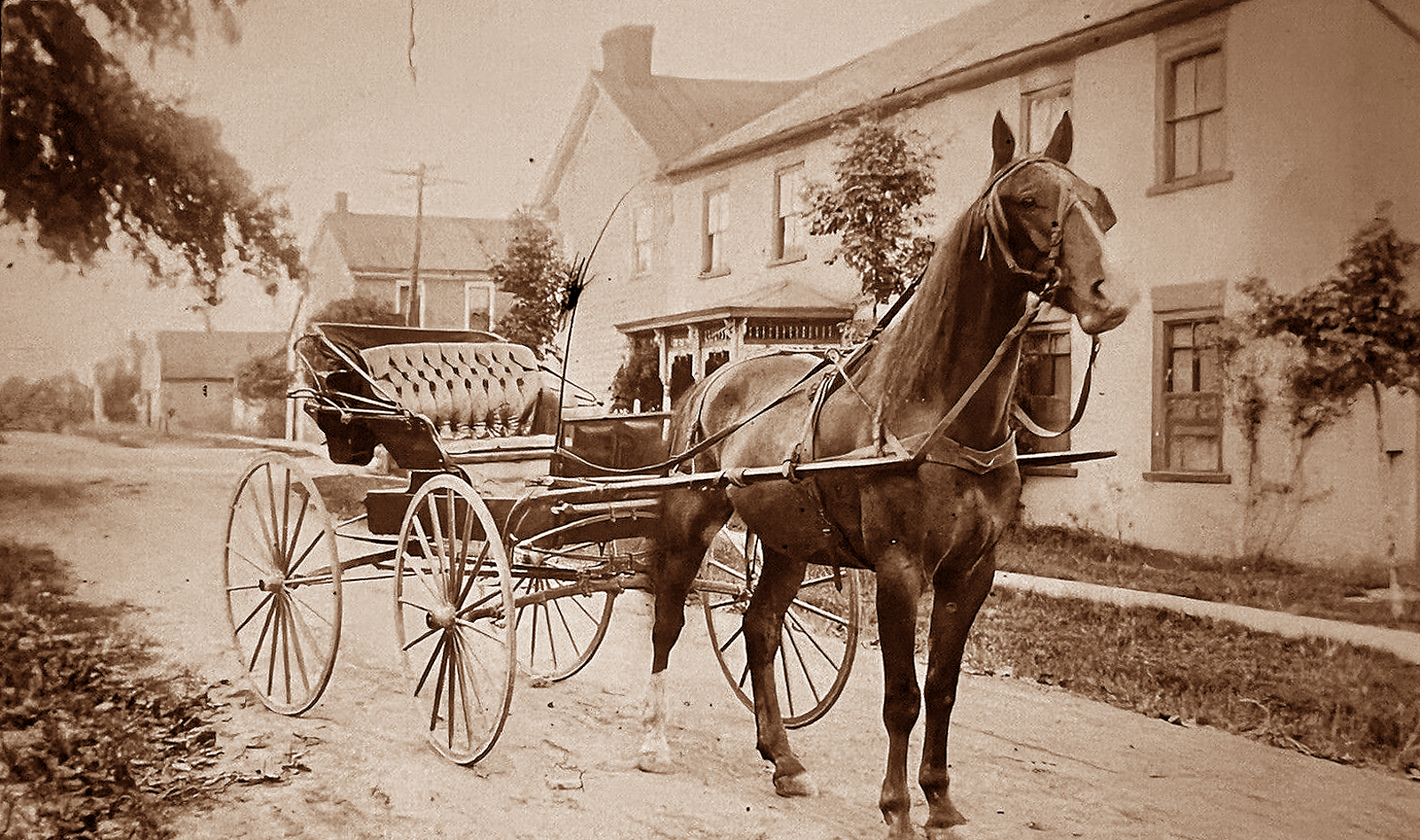 Horse and Buggy in Claude Texas in 1920