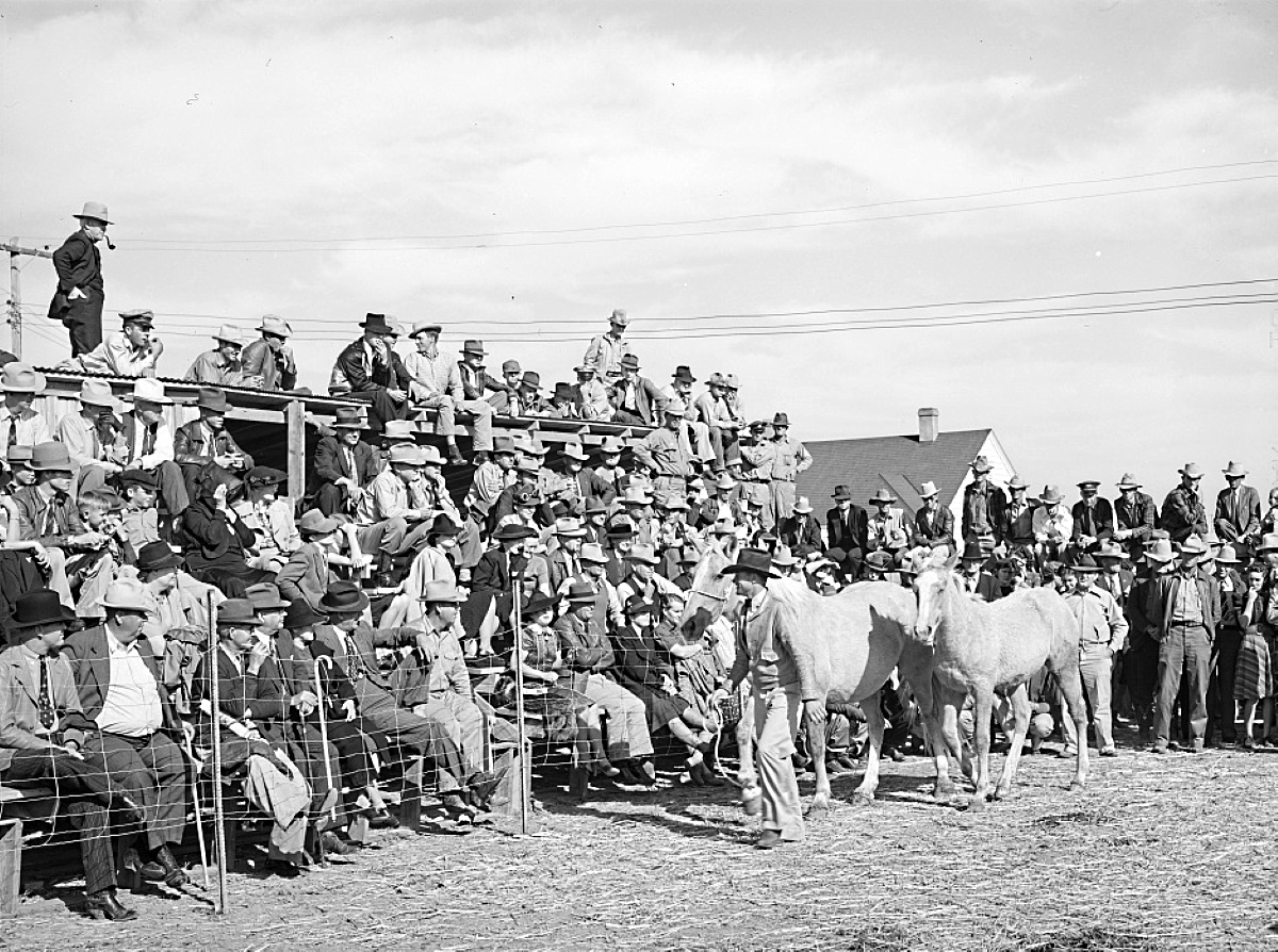 Horse Auction in El Dorado Texas in 1939