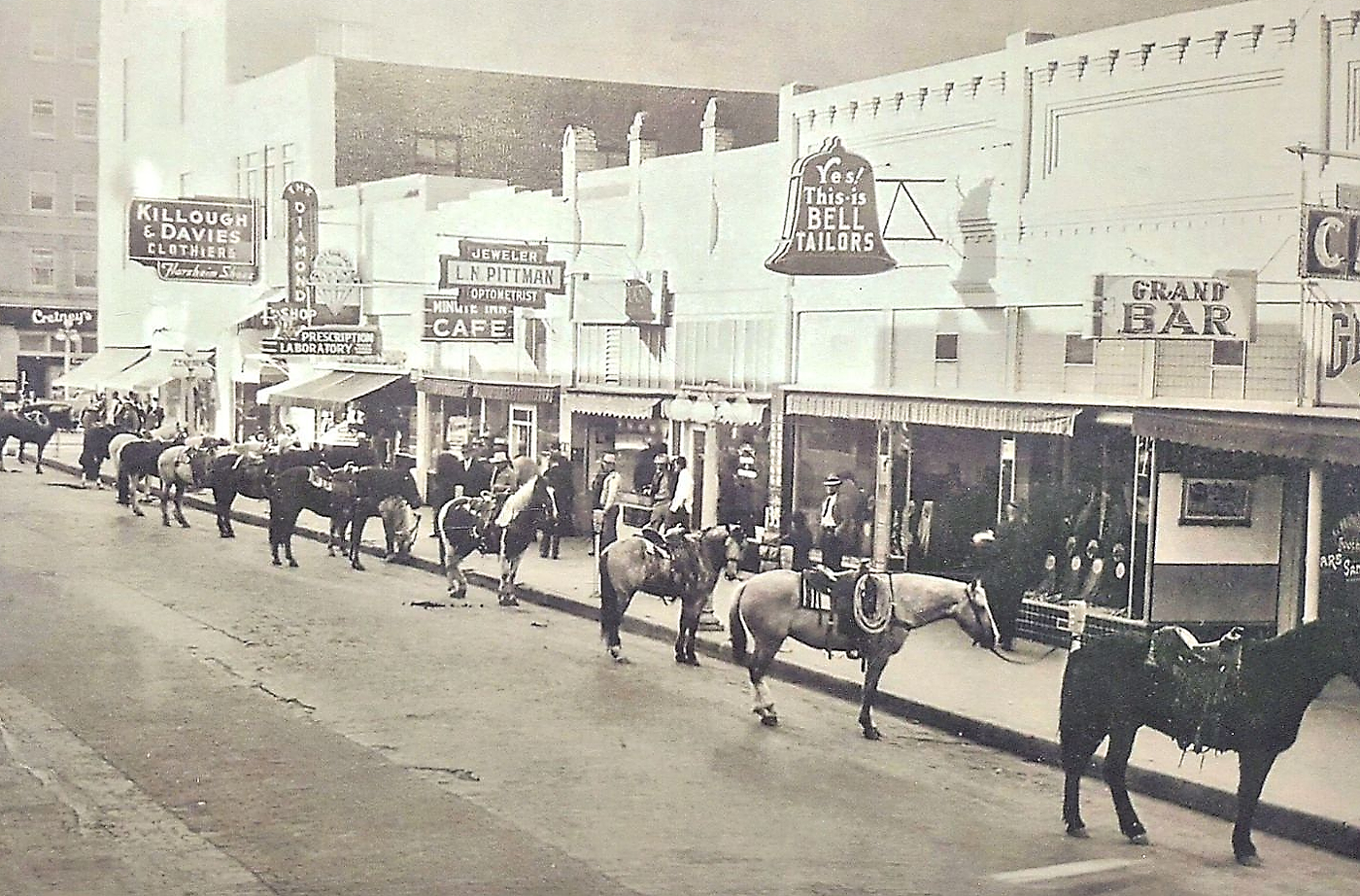 Horses on Street in Amarillo