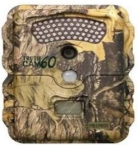 Hunting Camera candidly captures game animals
