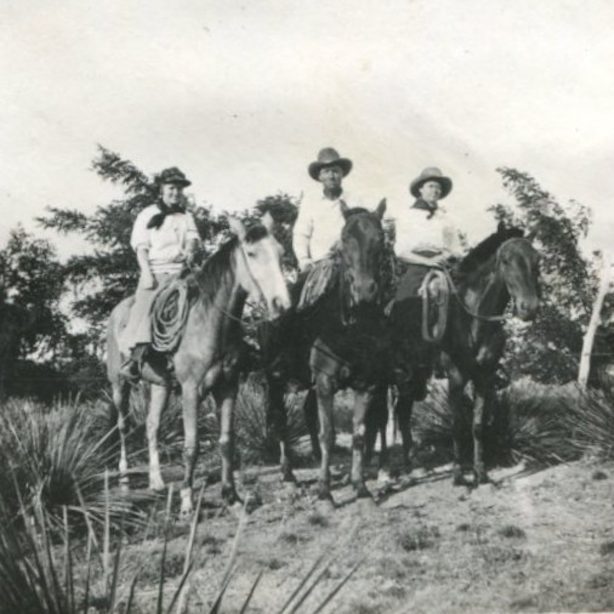 Hutcherson's of Hall County on Horseback