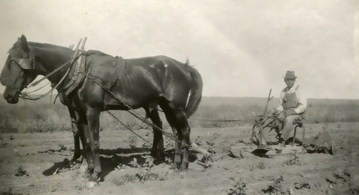 Joe Botelier plowing fields Floydada in 1905