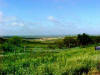 King County Texas Landscape