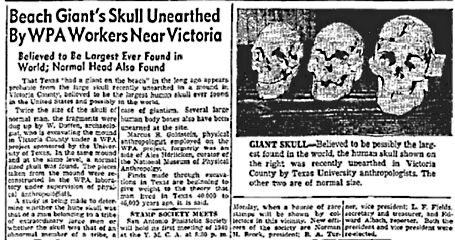 Largest Human Scull Ever Found