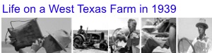 Photos of Life on a West Texas Farm in 1939