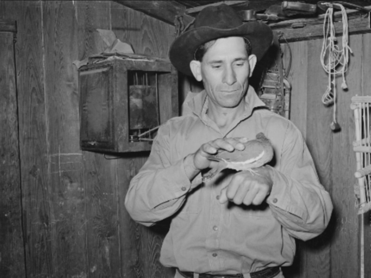 Man With Pet Pigeon