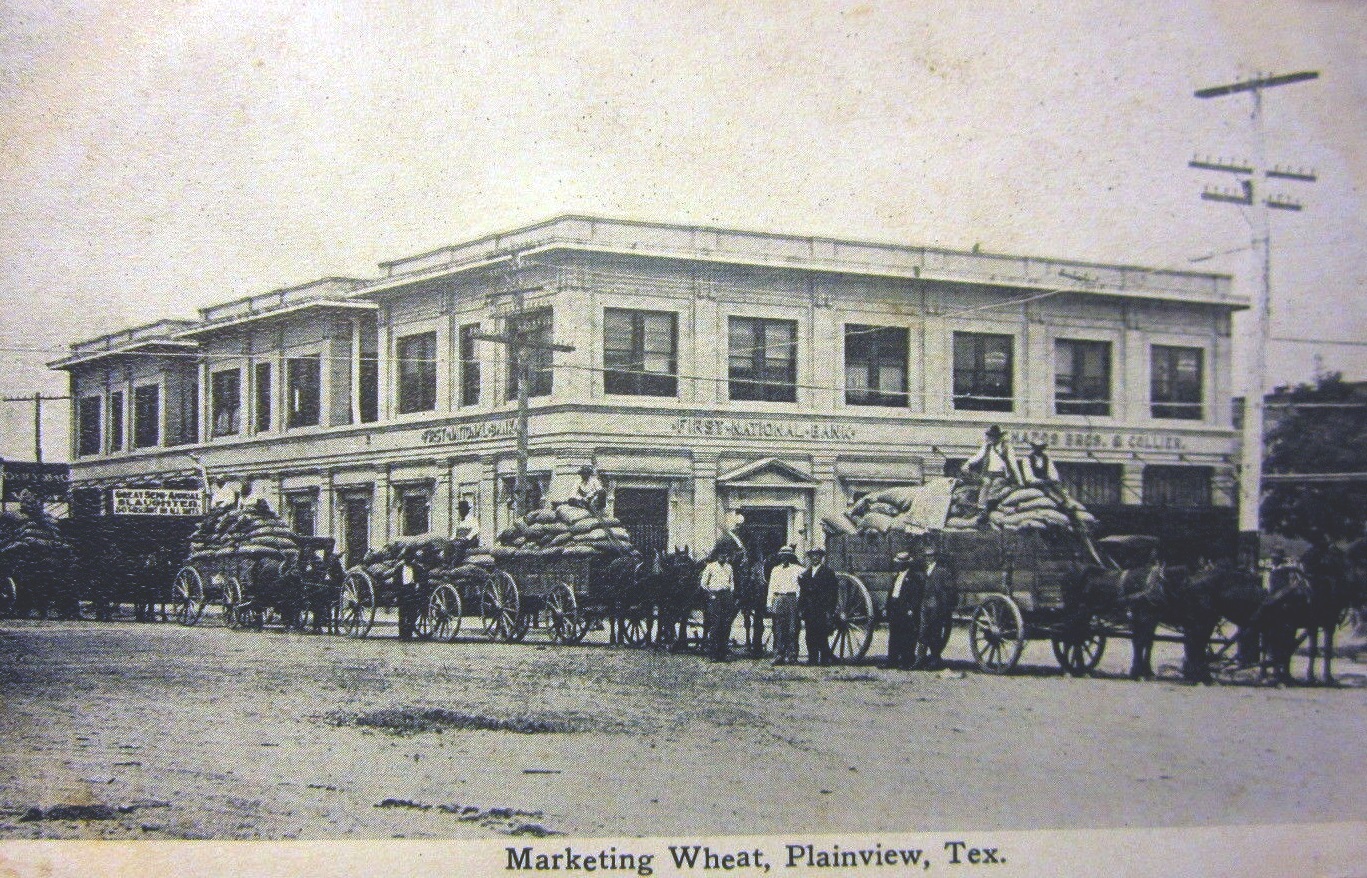 Wheat Market in Plainview Texas in 1910 