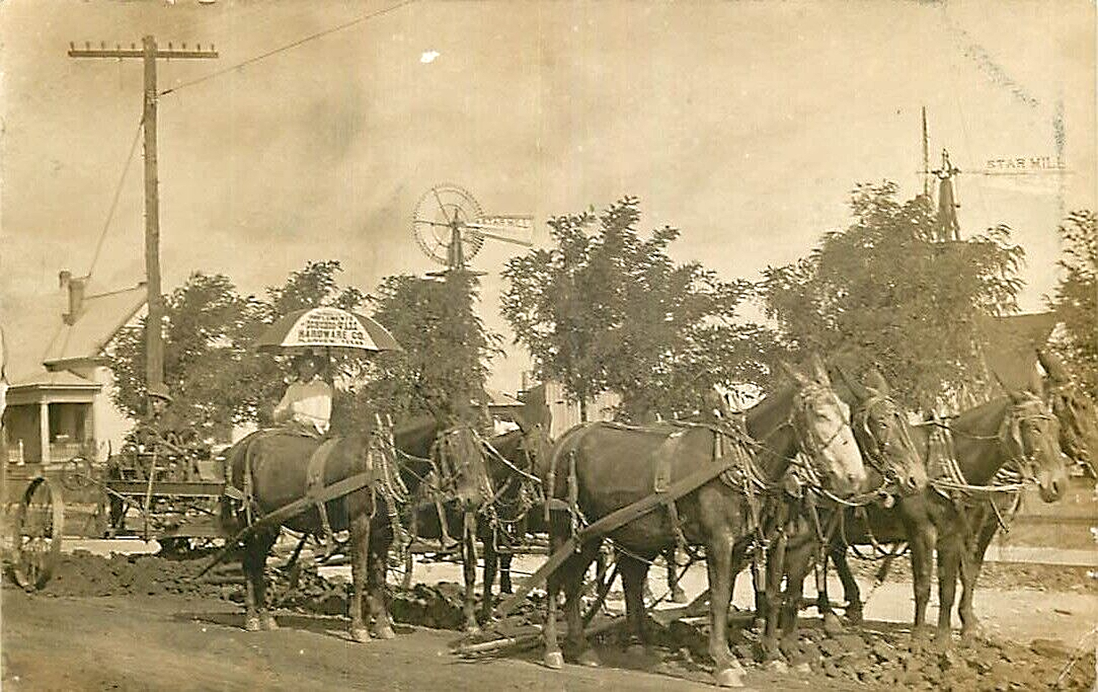 Mule Powered Road Grader