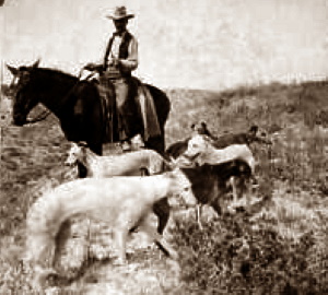 Staghounds on the Palo Duro Ranch in 1910