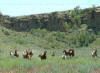 Grantier Ranch - Petroleum County Nebraska