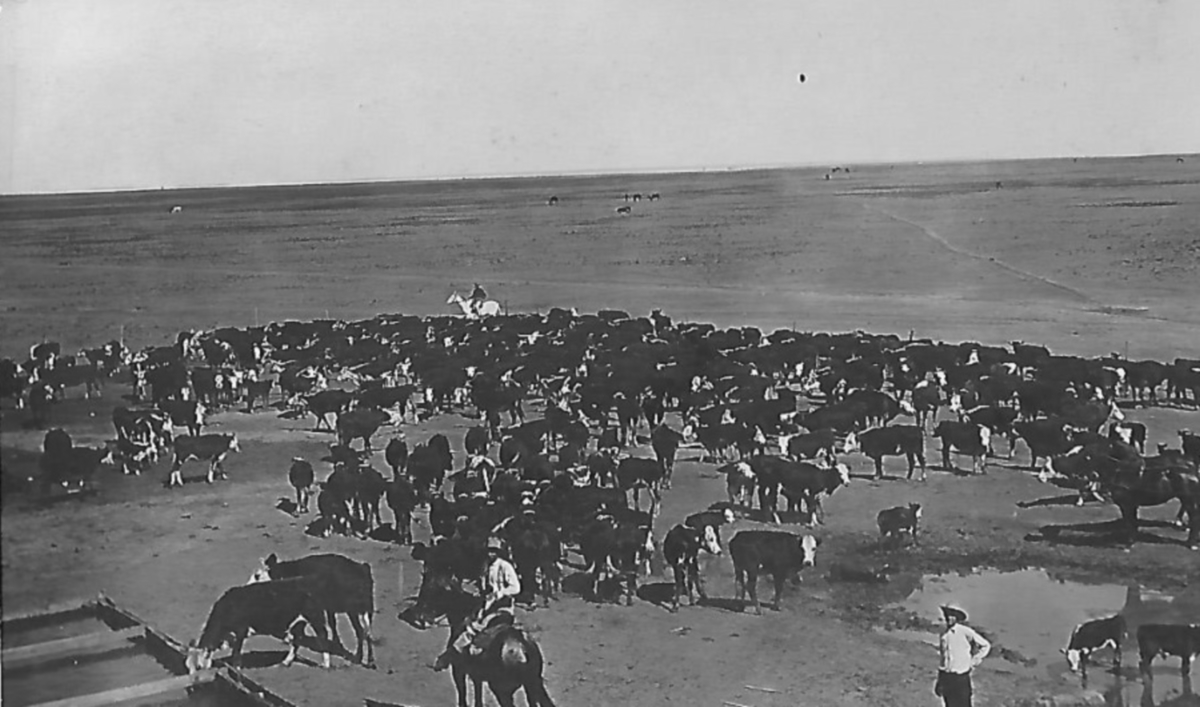 Pronger Ranch near Stratford Texas in 1908