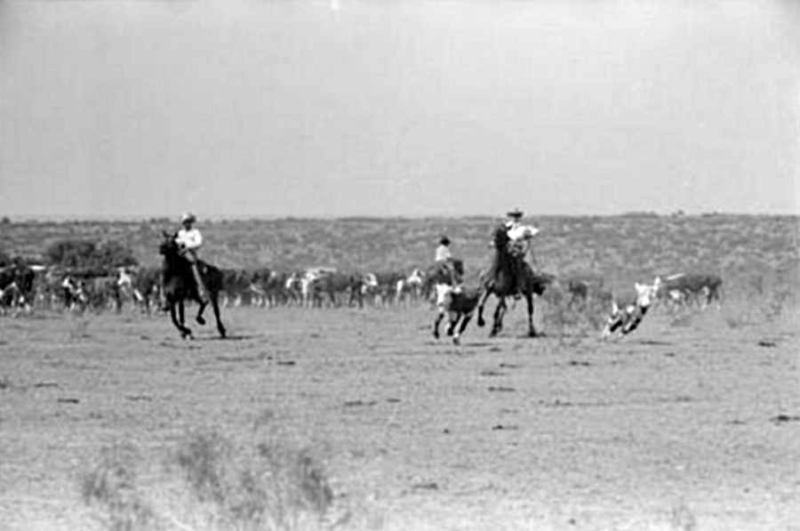 SMS Ranch in Dickens County in May 1939 
