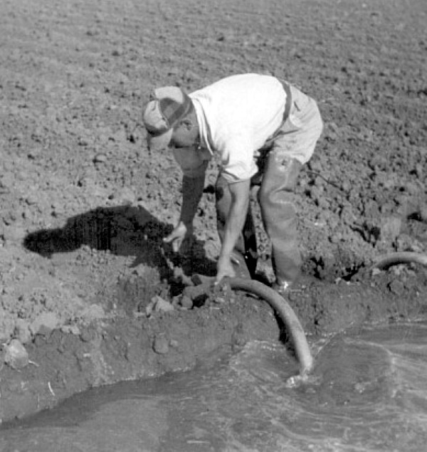 Irrigation in the 1950s
