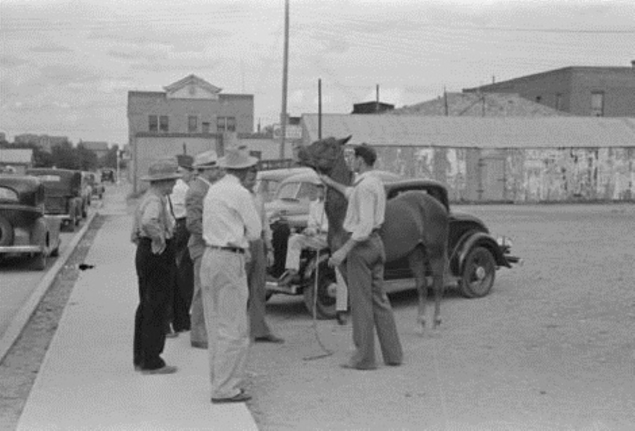 Small Crowd at 1939 Street Side Horse Sale