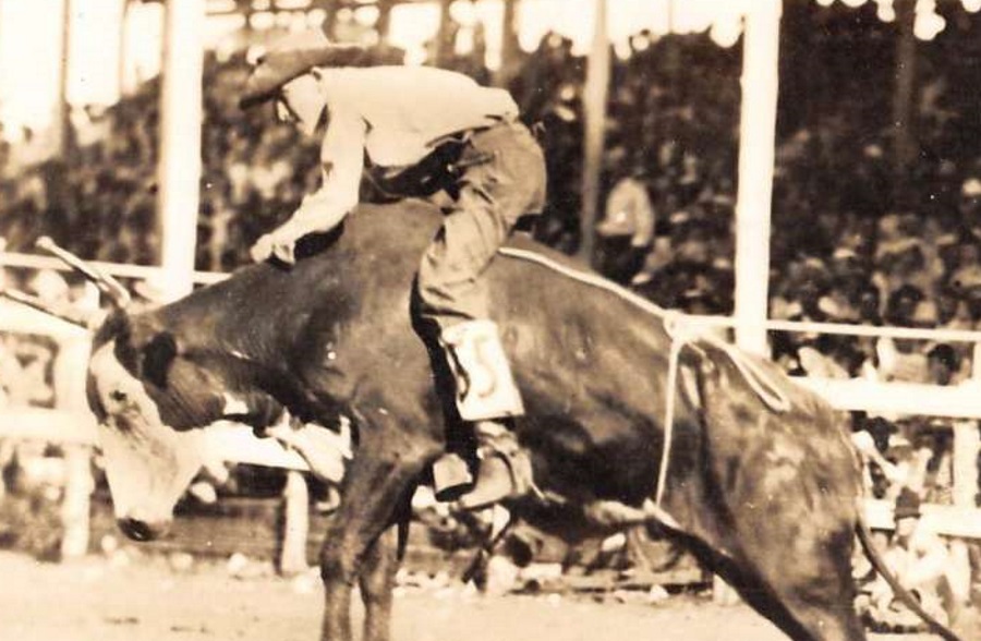 Sweetwater Texas Bull Rider in 1930s