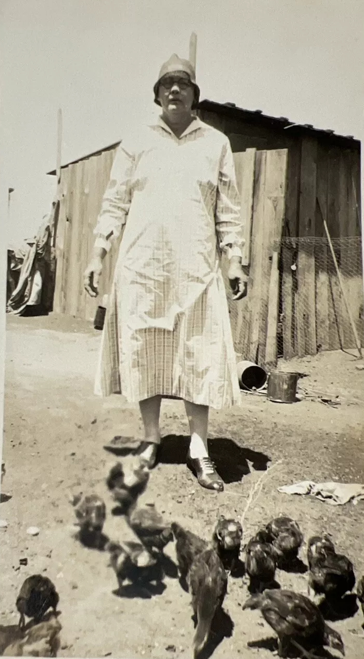 Tending Chickens in Lubbock in 1920s
