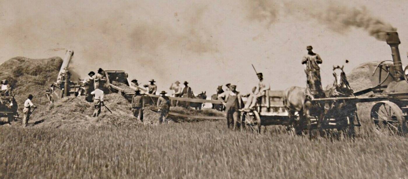 Thrashing Crew Near Nazareth Texas in 1890s