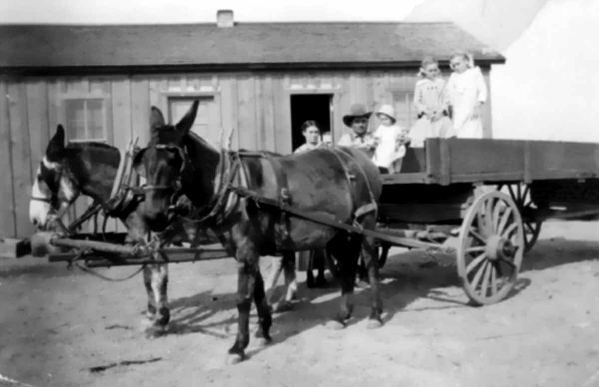 Walter Frank Fenton & Family in 1920 Post Texas