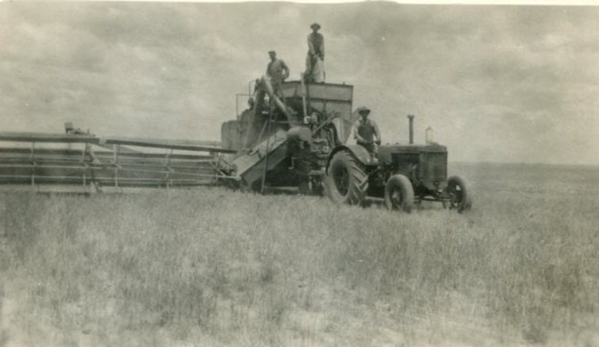 Wheat Harvest in Floyd County 1946