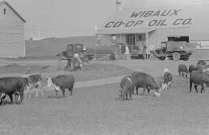 Wibaux County Picture from eBay
