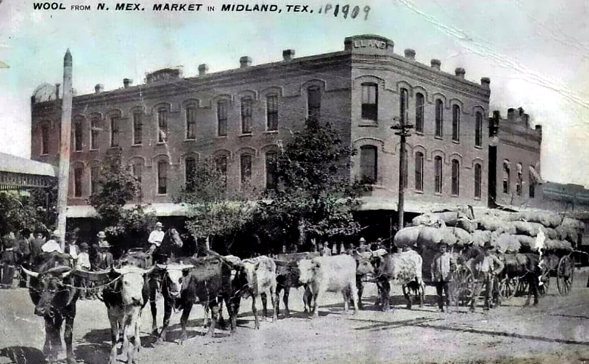 Wool from New Mexico Arrives in Midland 1909