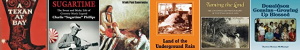 Books about Farwell, Bovina, Friona and Lazbuddie, Lariat,  Parmerton and Rhea Texas