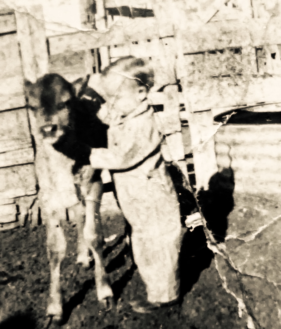 J D Woody and Calf