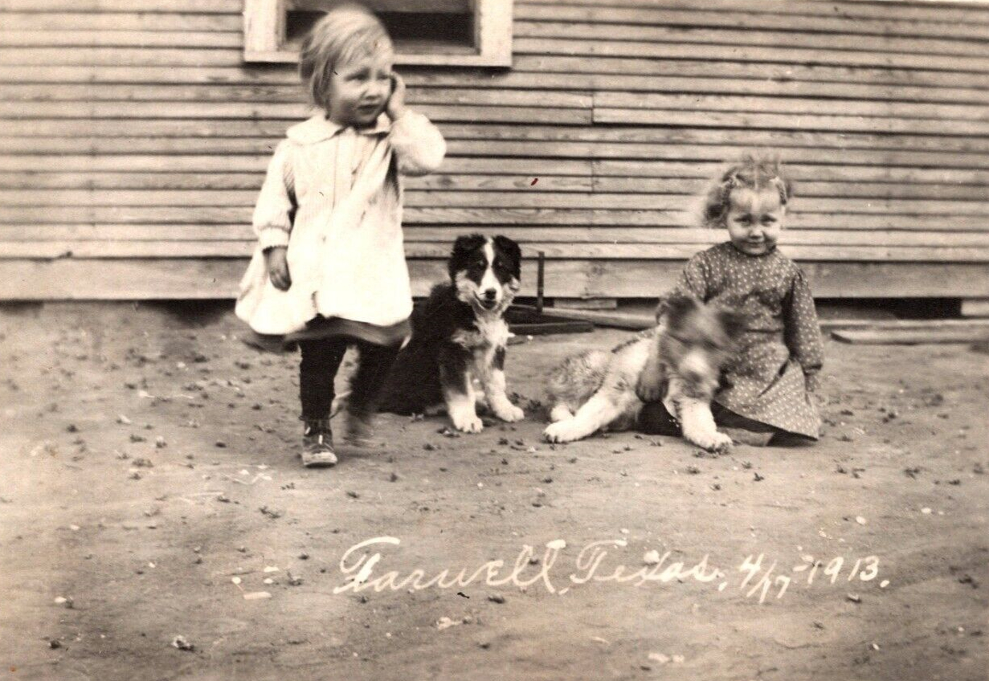 Little Girls Playing with Puppies